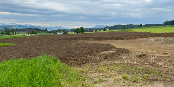 Grossflächige Rekultivierung