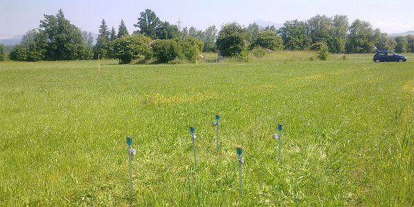 Tensiometerstation zur Bestimmung der Bodenfeuchte