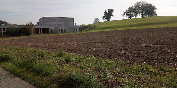 Neubauperimeter Kindergarten neben Primarschulhaus